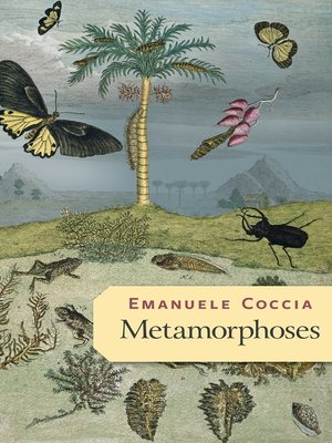 cover image of Metamorphoses